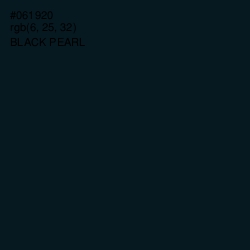 #061920 - Black Pearl Color Image